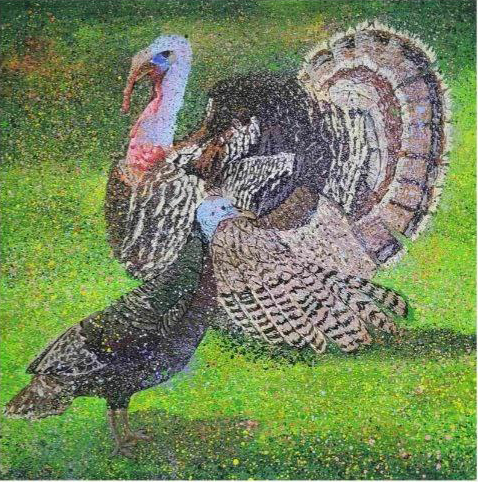 " Індики \ Turkeys " 2023