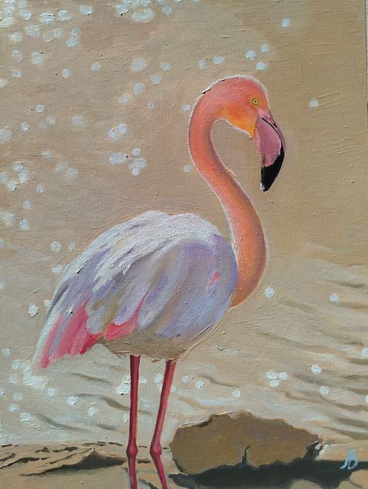 "Фламінго" Літо 2025