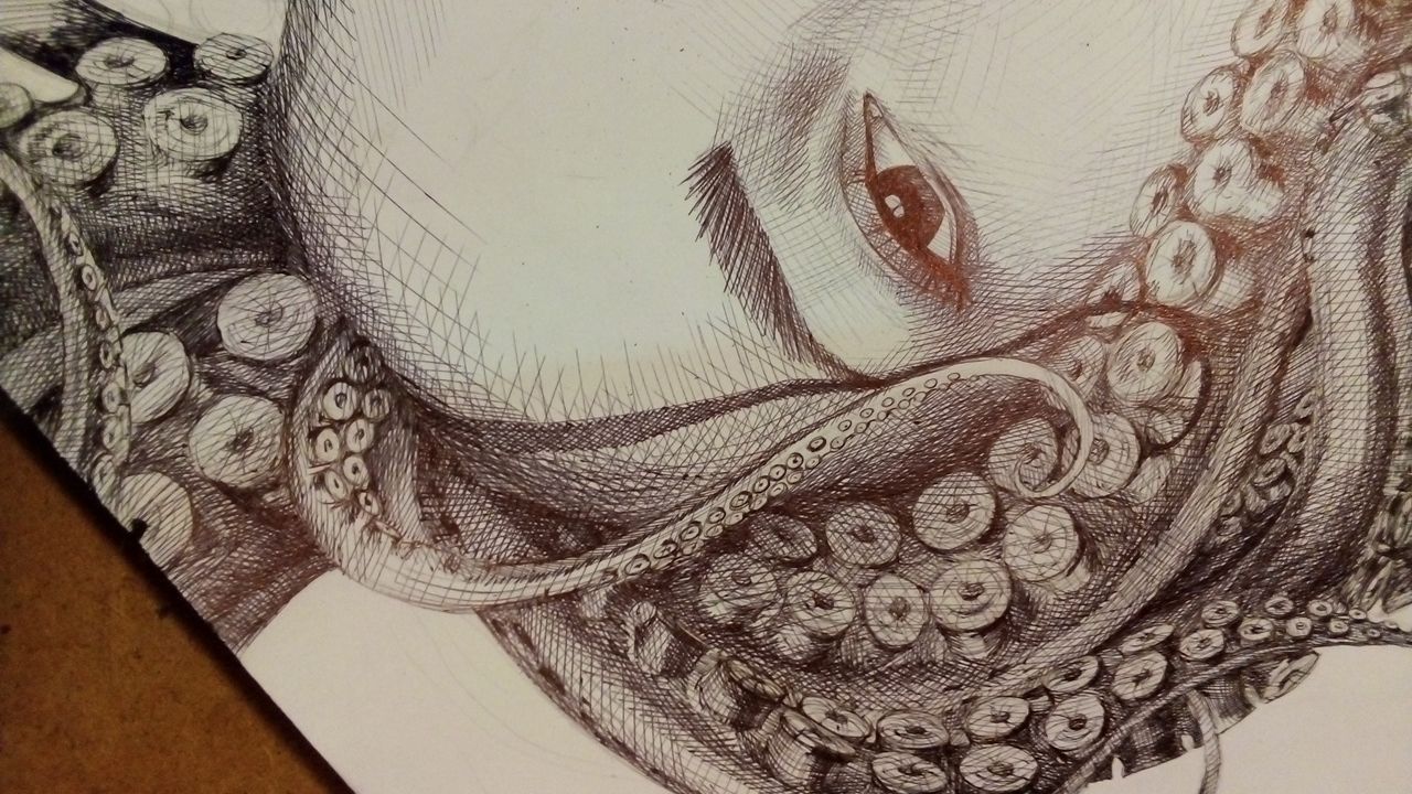 " Medusa \ Meдуза " 2017