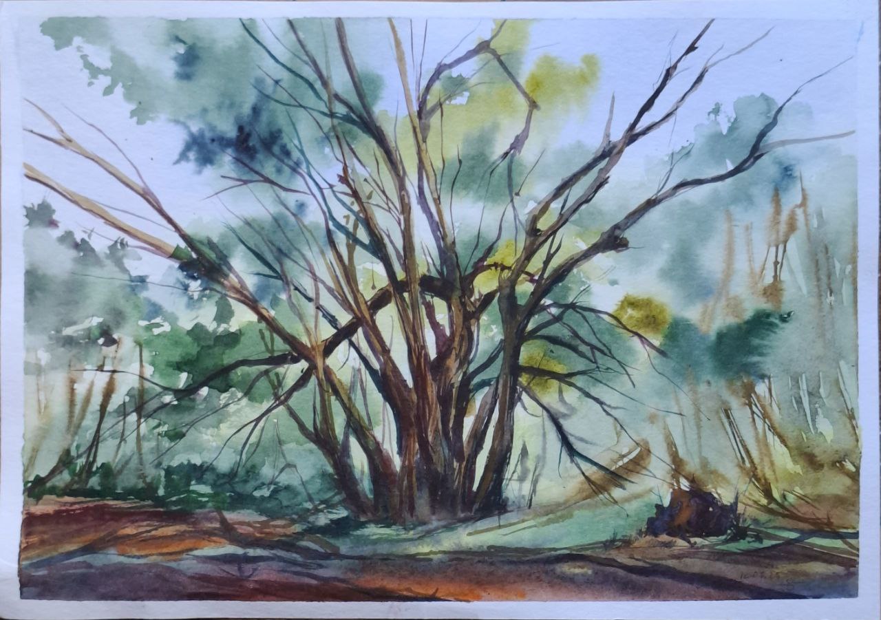 " На варті лісу \ On guard of the forest " 