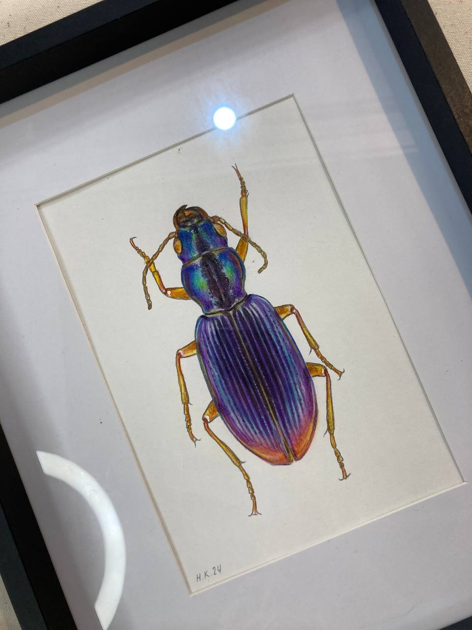 "Бузковий жук / Purple beetle" 2024