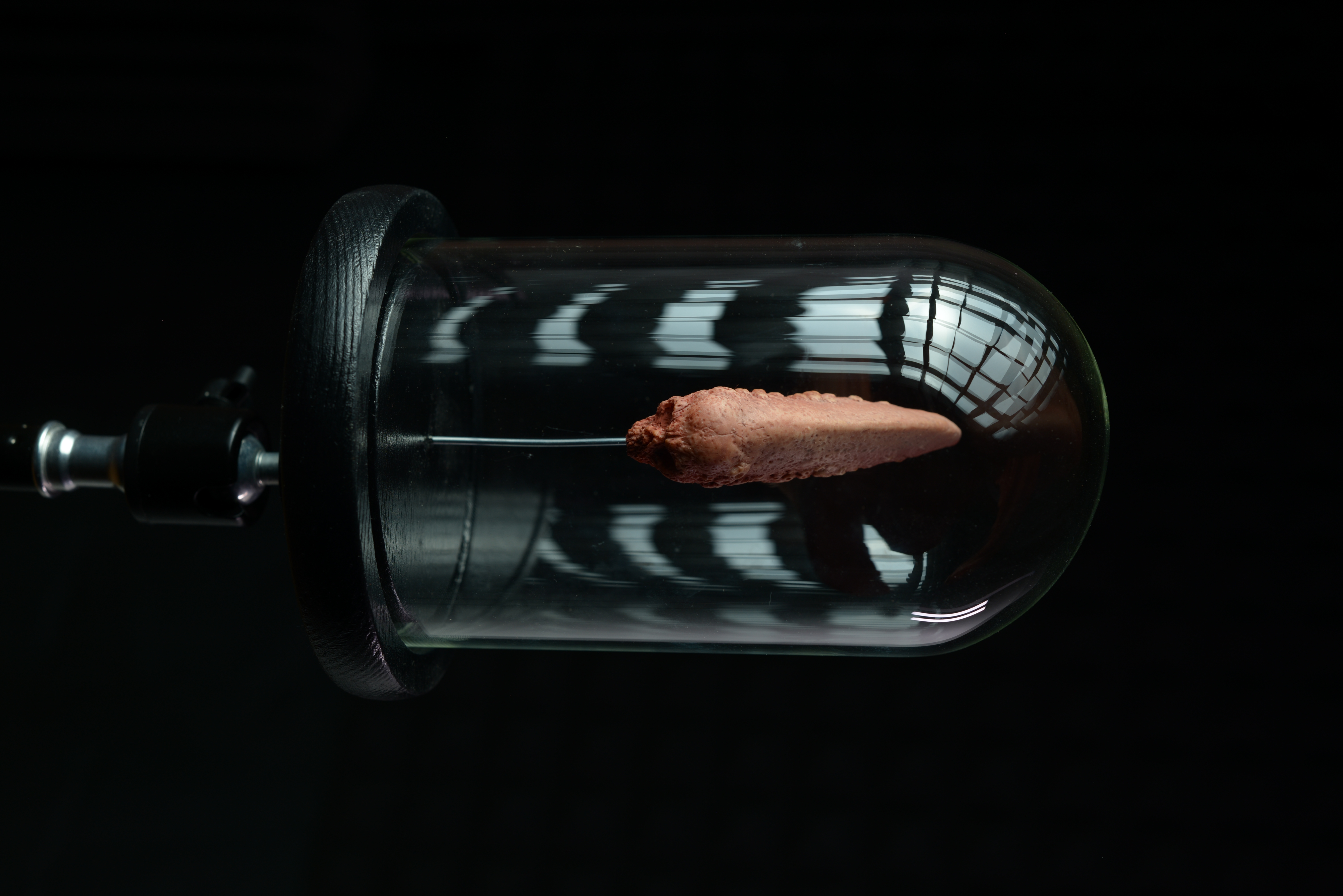 «Claw xenomorph» 2025 