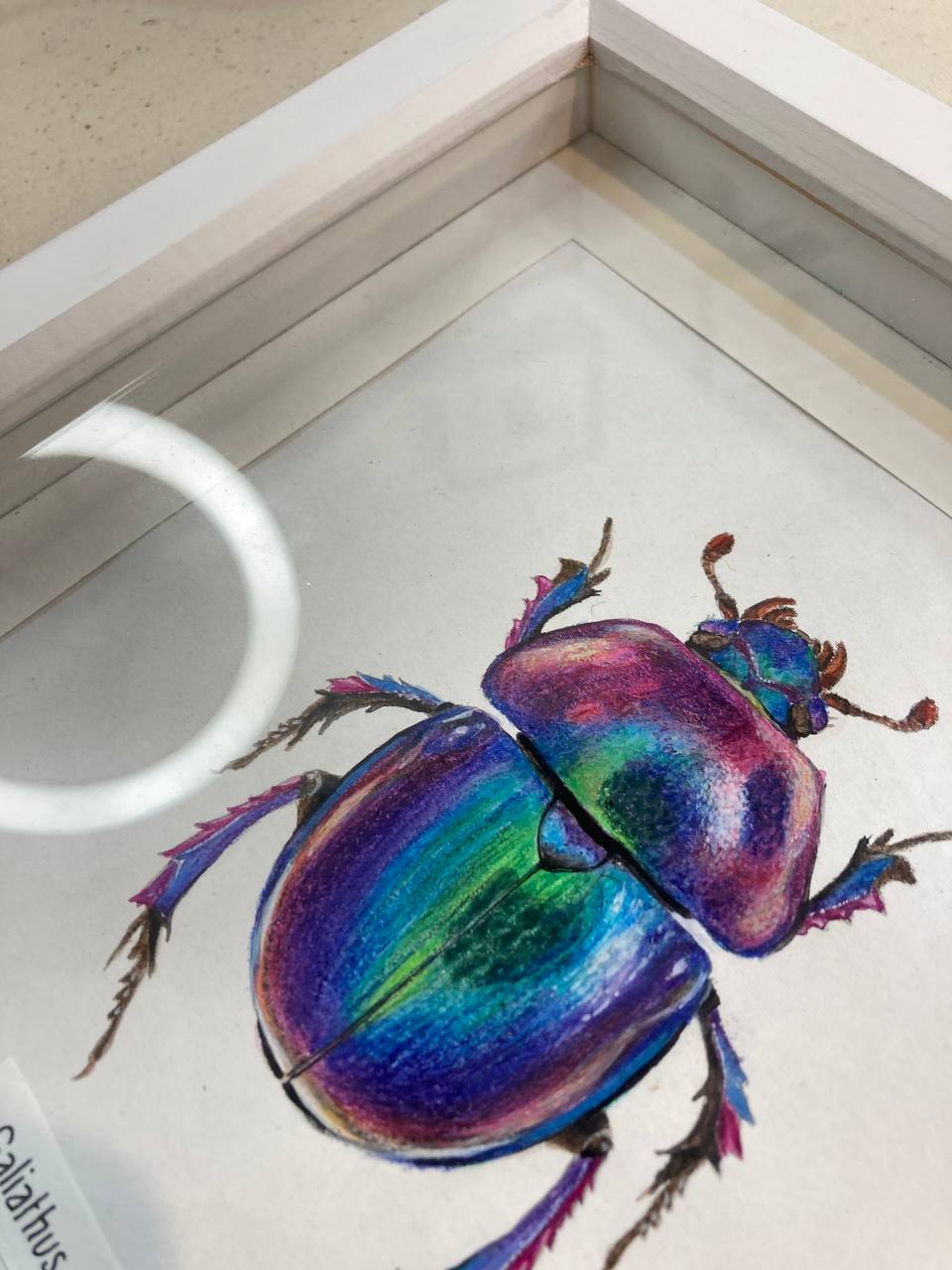 " Жук на щастя / Good luck beetle " 2024