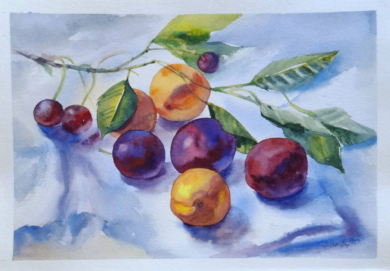 " Плоди літа 1 \ Fruits of summer 1 " 