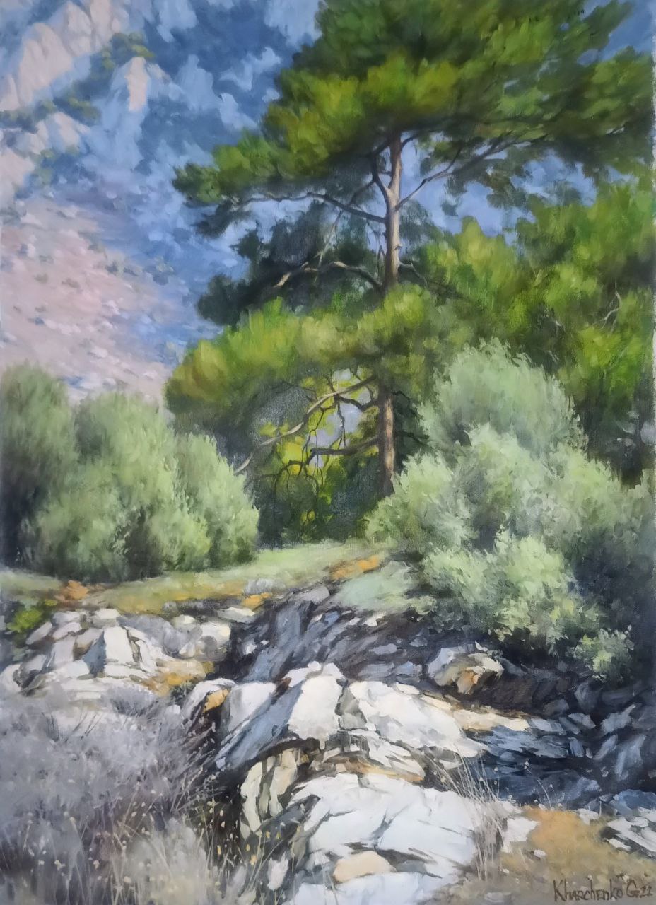 " Мальовниче передгір'я \ Picturesque foothills " 2022