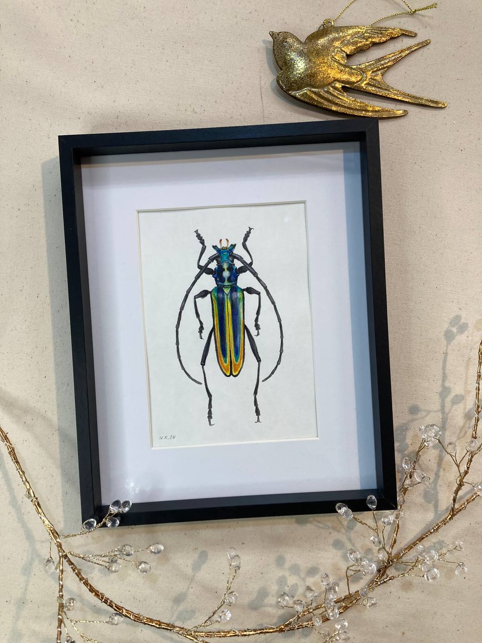 " Жук кольорів прапору / Flag colours beetle " 2024