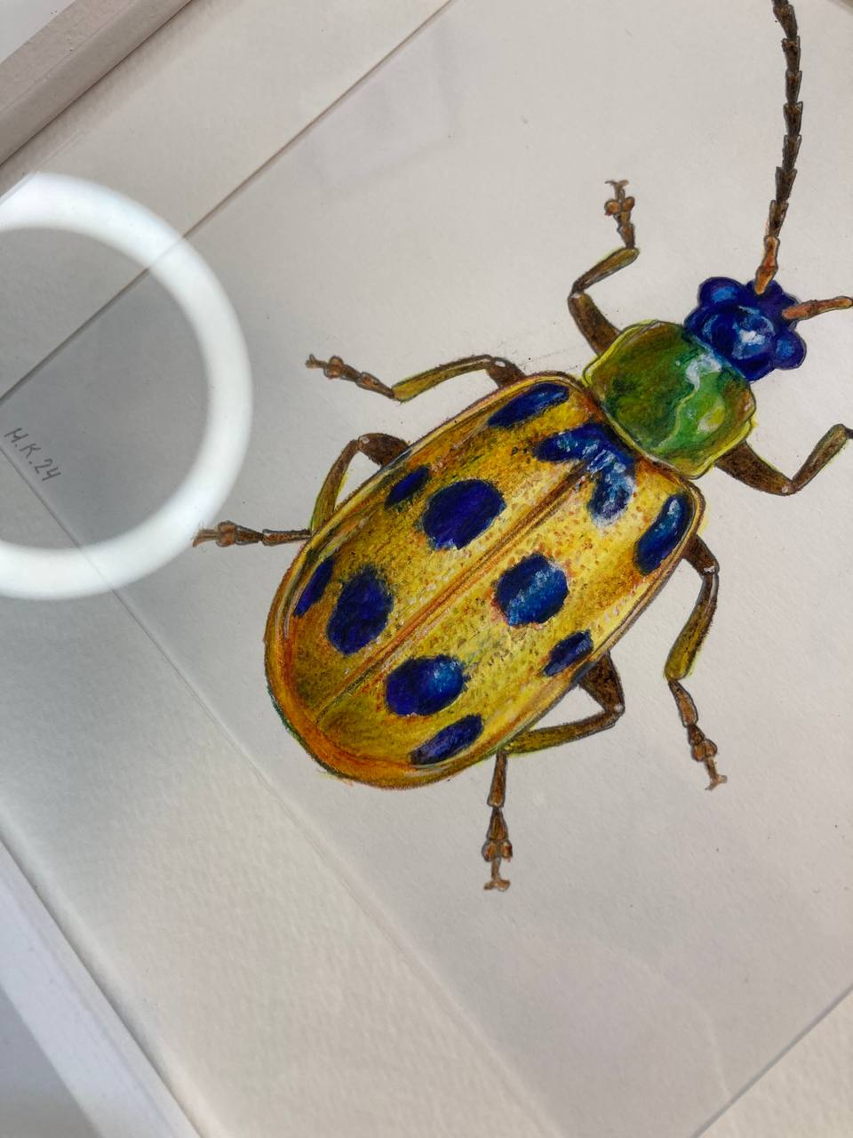 "Жовтий жук  з крапочками / Yellow beetle with dots" 2024
