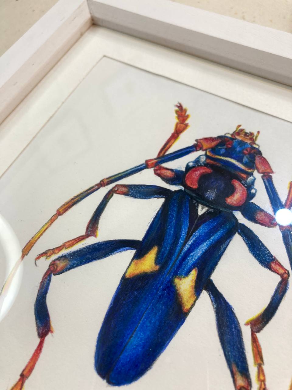 " Жук як тарган / Beetle as cockroach " 2024