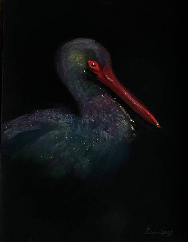 « Electus \ Електус » 