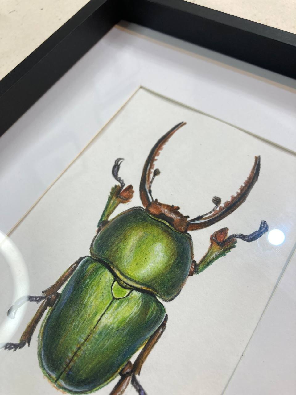  "Зелений жук / Green beetl" 2024