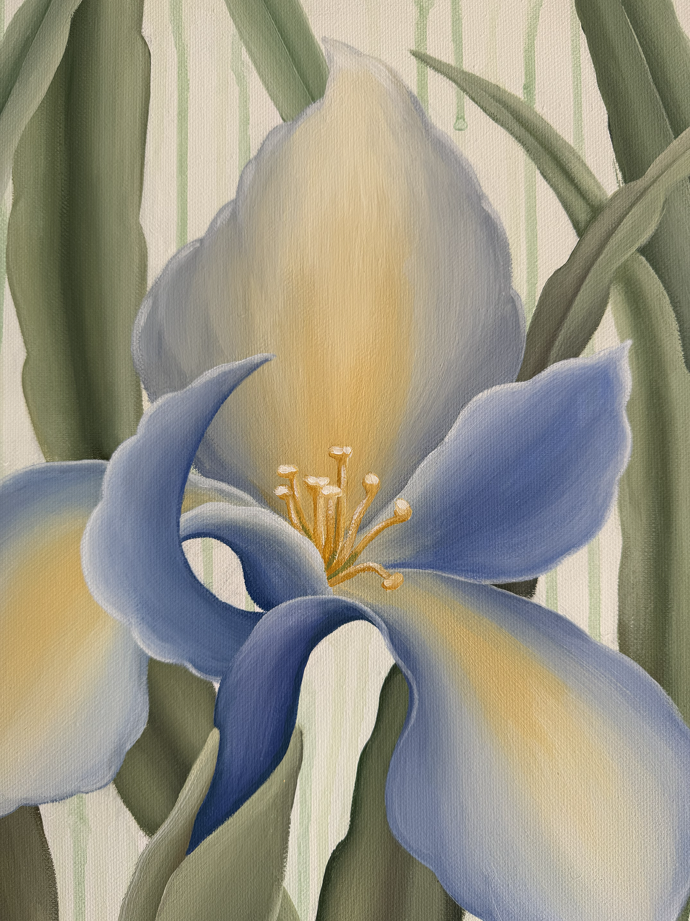 " ІРИСИ \ IRISES" 2025