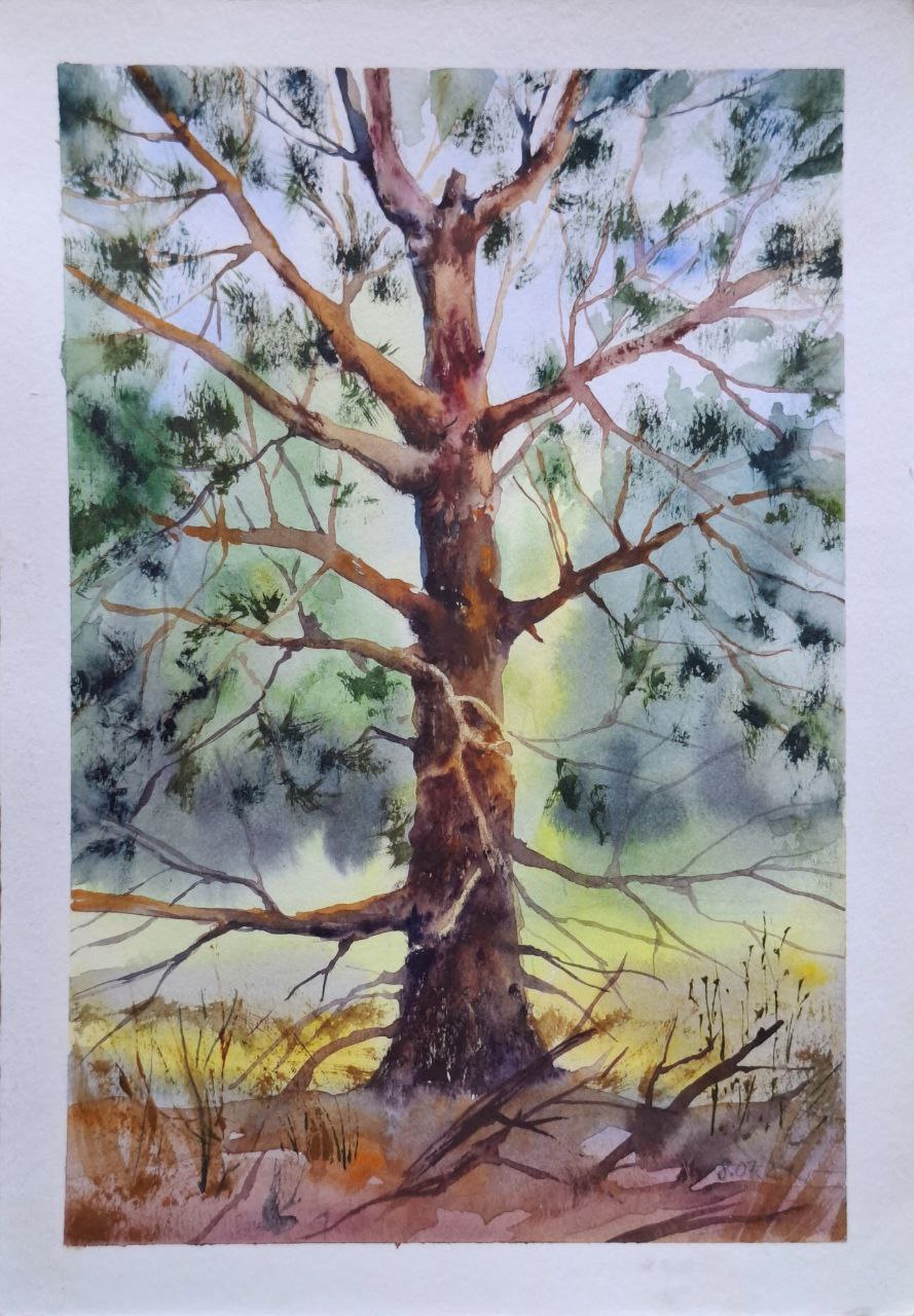 " У променях \ In the rays " 