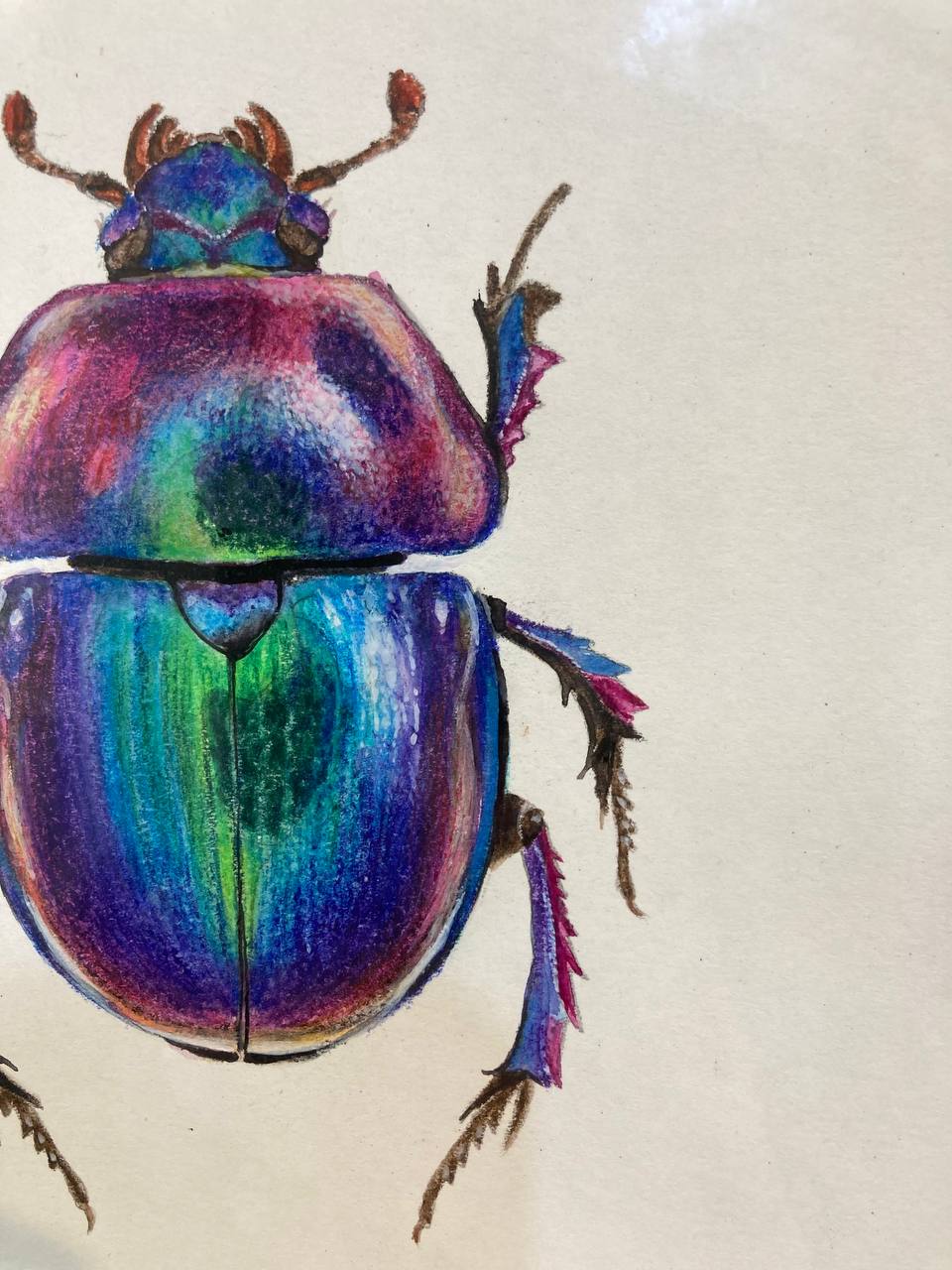 " Жук на щастя / Good luck beetle " 2024