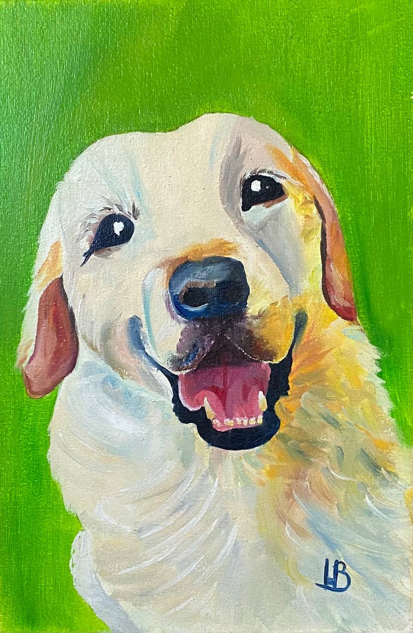 « Погляд щастя» / « A Glimpse of Happiness”