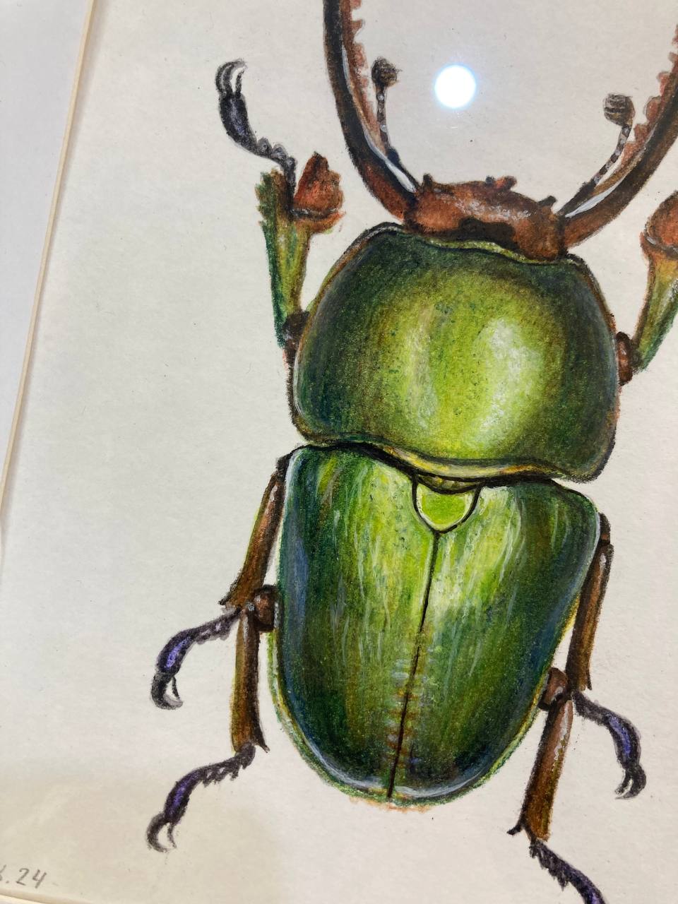  "Зелений жук / Green beetl" 2024