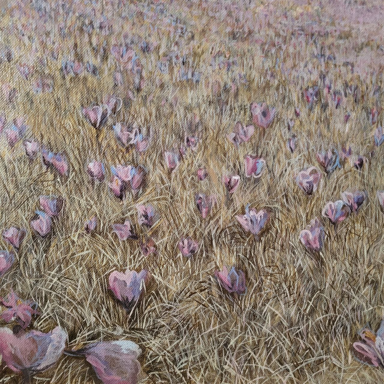 " Крокуси в Карпатах \ crocuses in the Carpathians " 2024