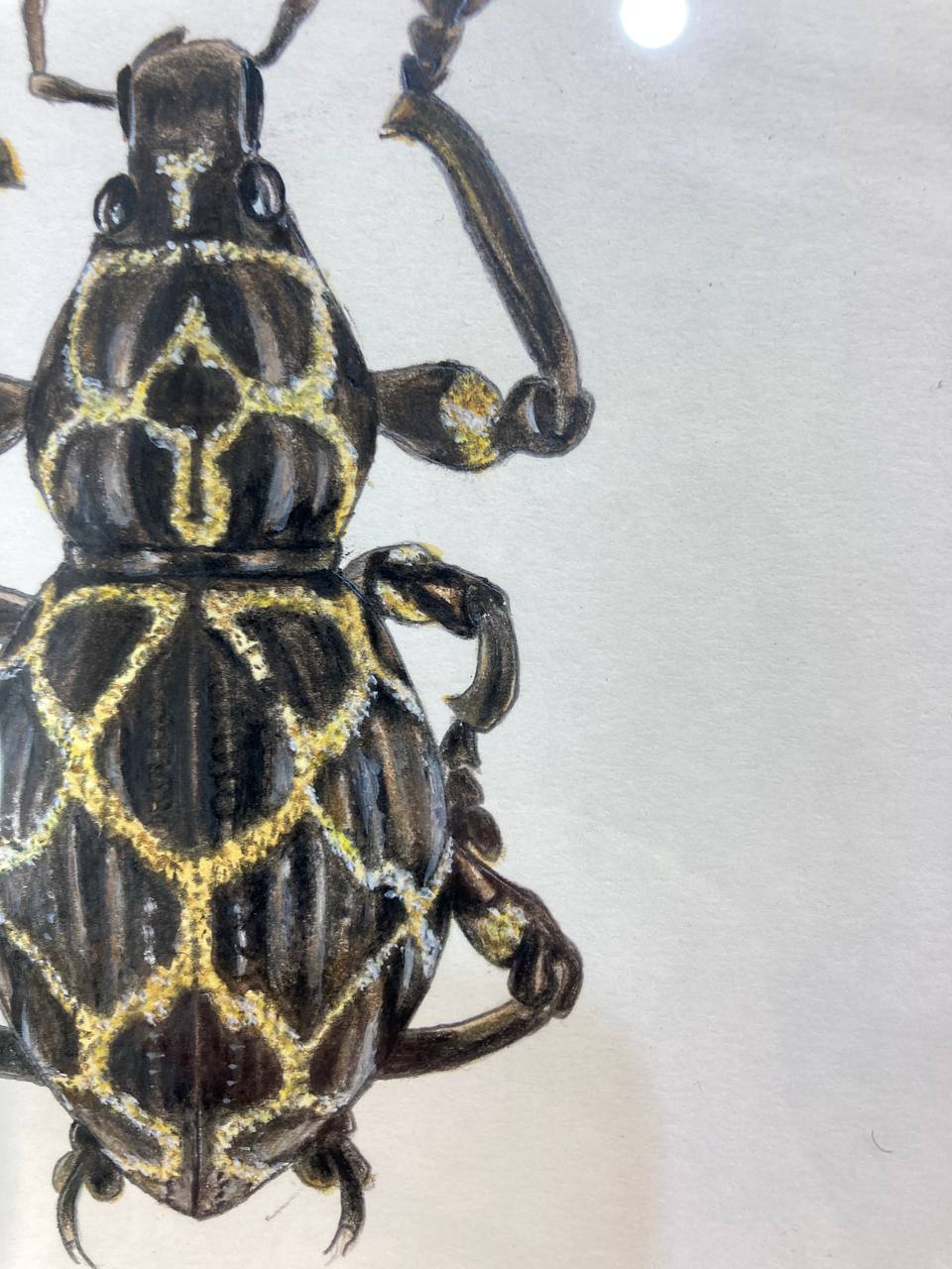 "Чорно-золотий жук / Black and golden beetle" 2024