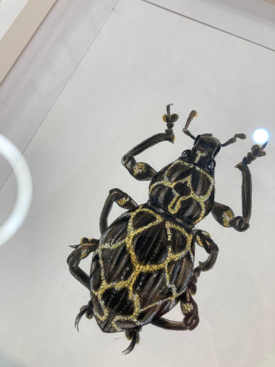 "Чорно-золотий жук / Black and golden beetle" 2024