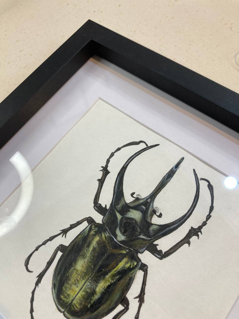 "Жук з дитинства / Childhood beetle" 2024