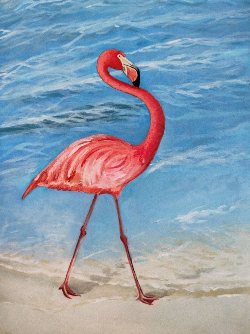 " Фламінго \ Flamingo "