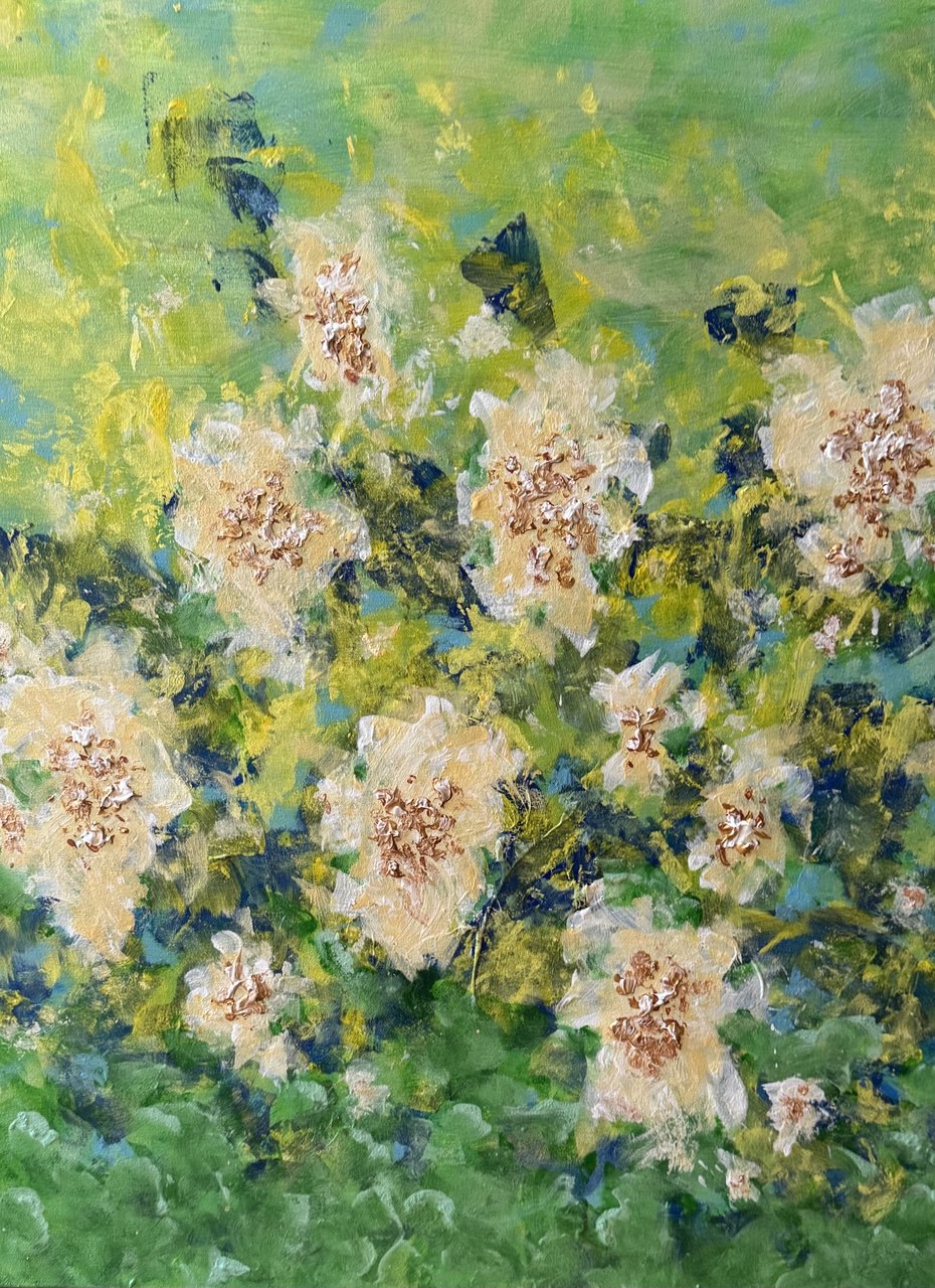 «Весняний квіт. Бузинник / Spring flowering. Elderberry» 2025