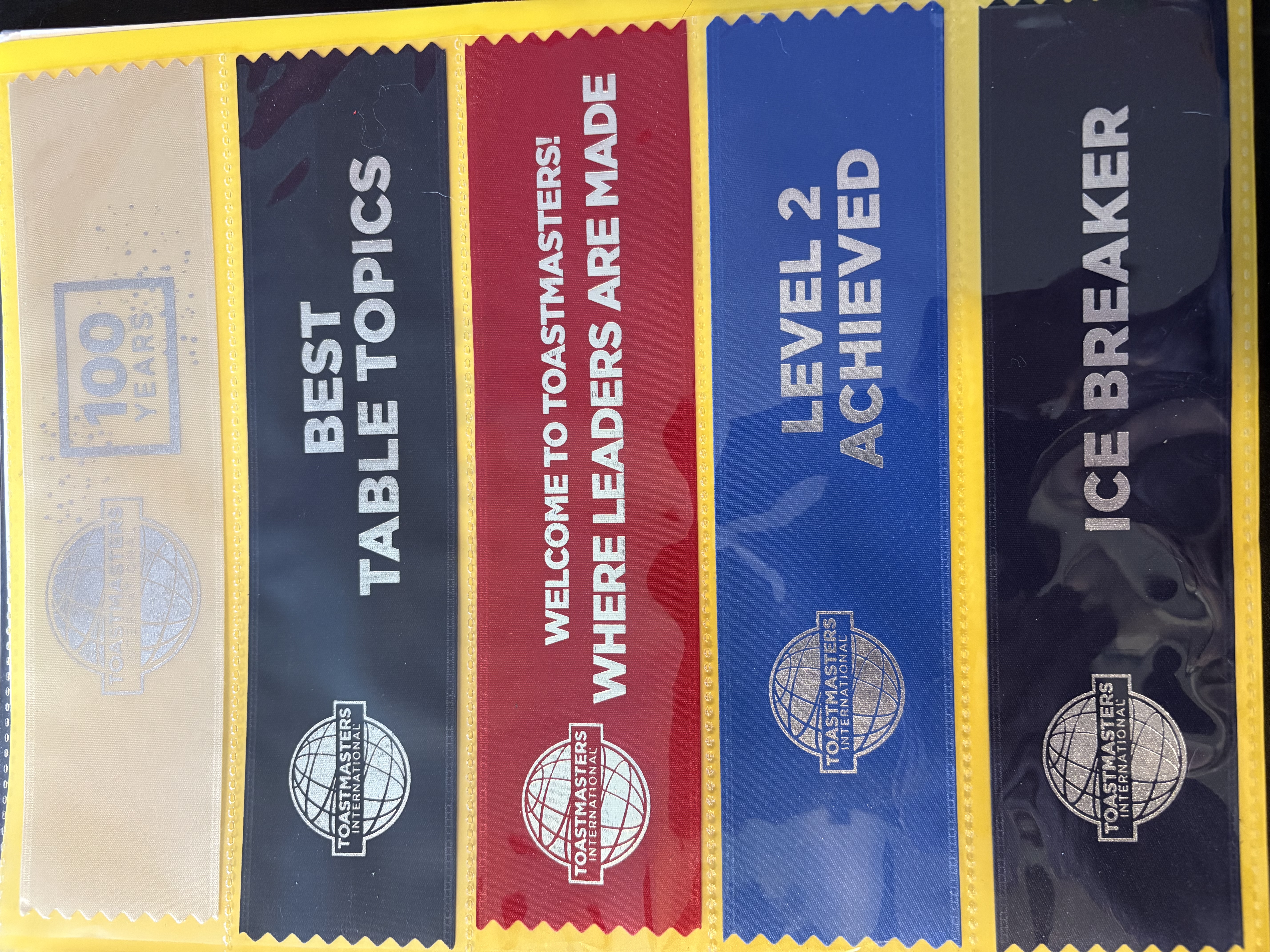 Ribbon Orginizer Club Pack 5pk