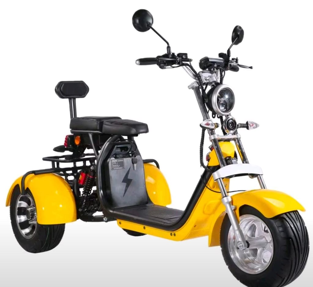 Electric Three-Wheeled Scooter