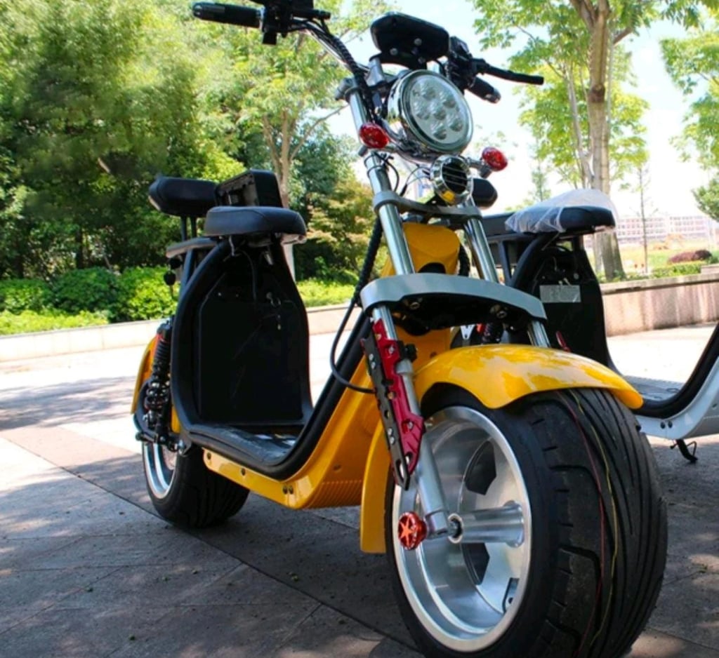 Electric Fat Tire Scooter