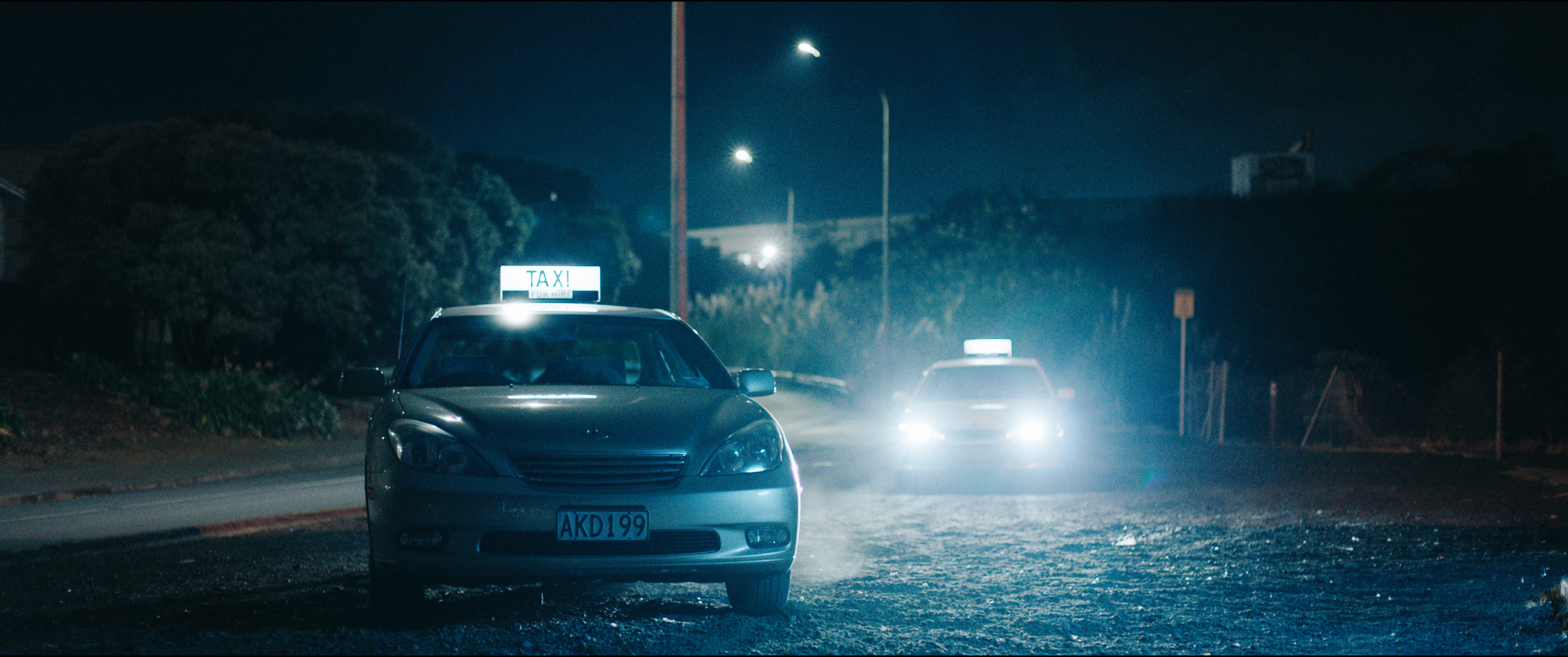 FLAGFALL by Joe Lonie