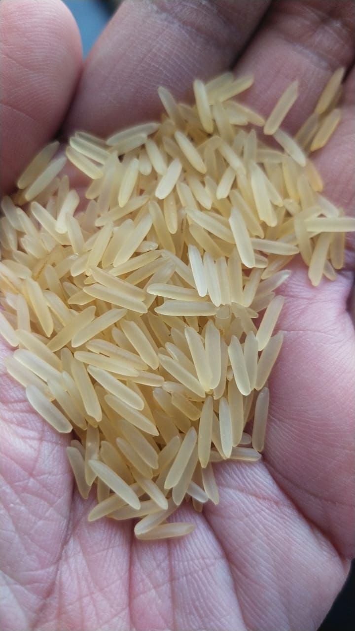 Premium Indian Rice