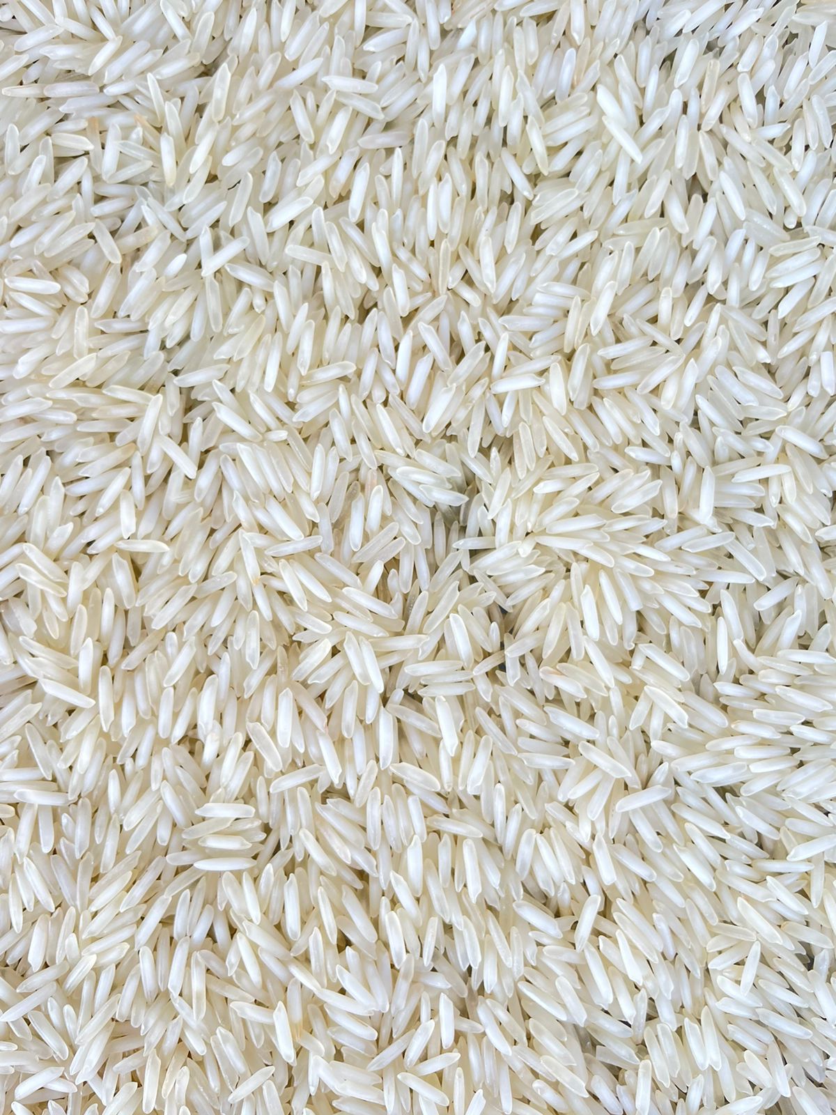 Premium Indian Rice