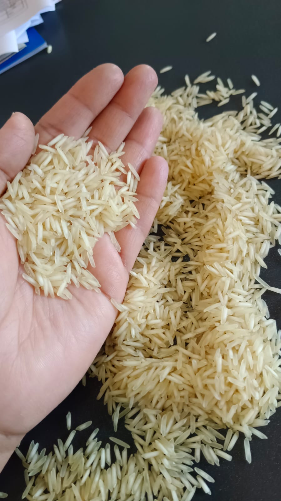 Premium Indian Rice