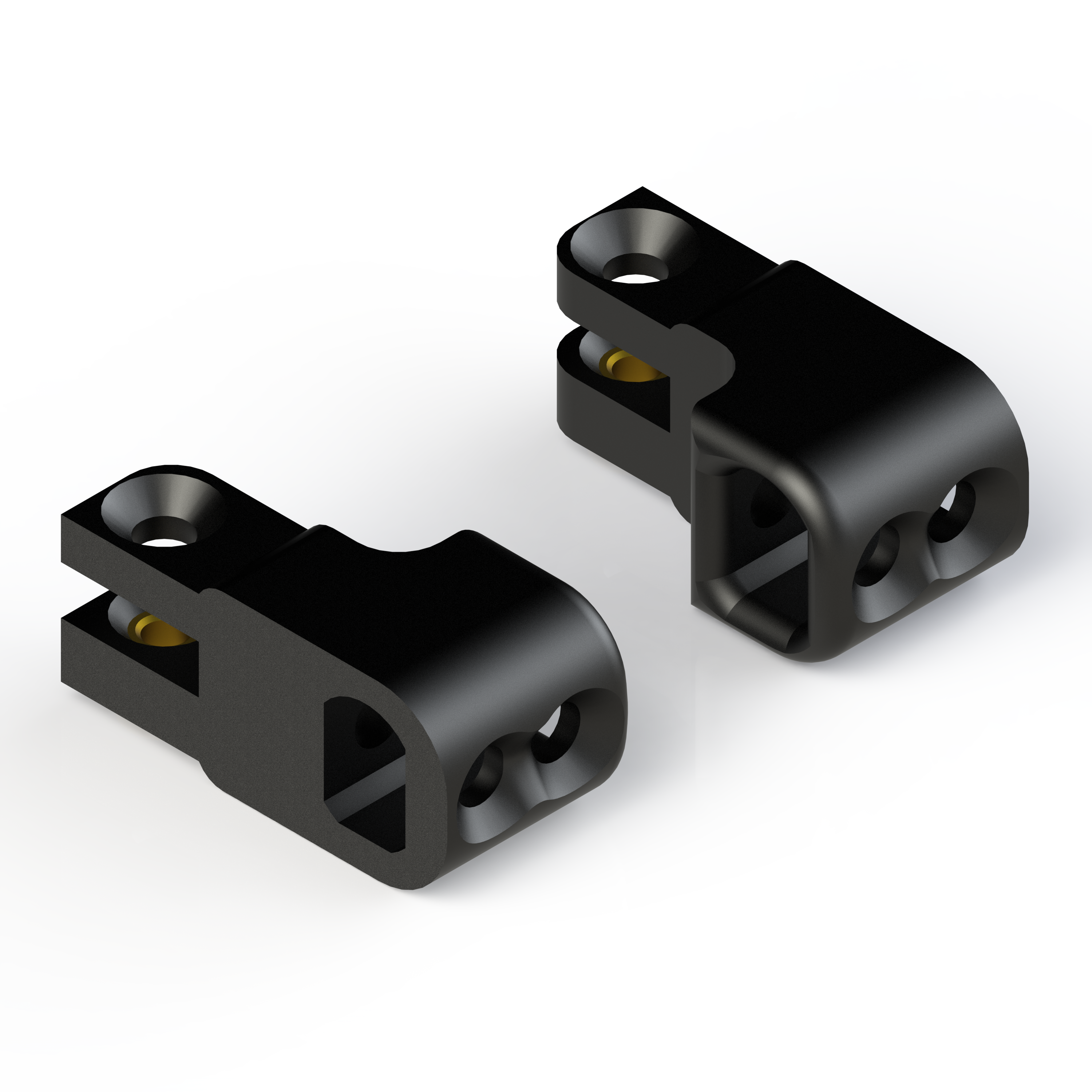 Pair of Small Hinges