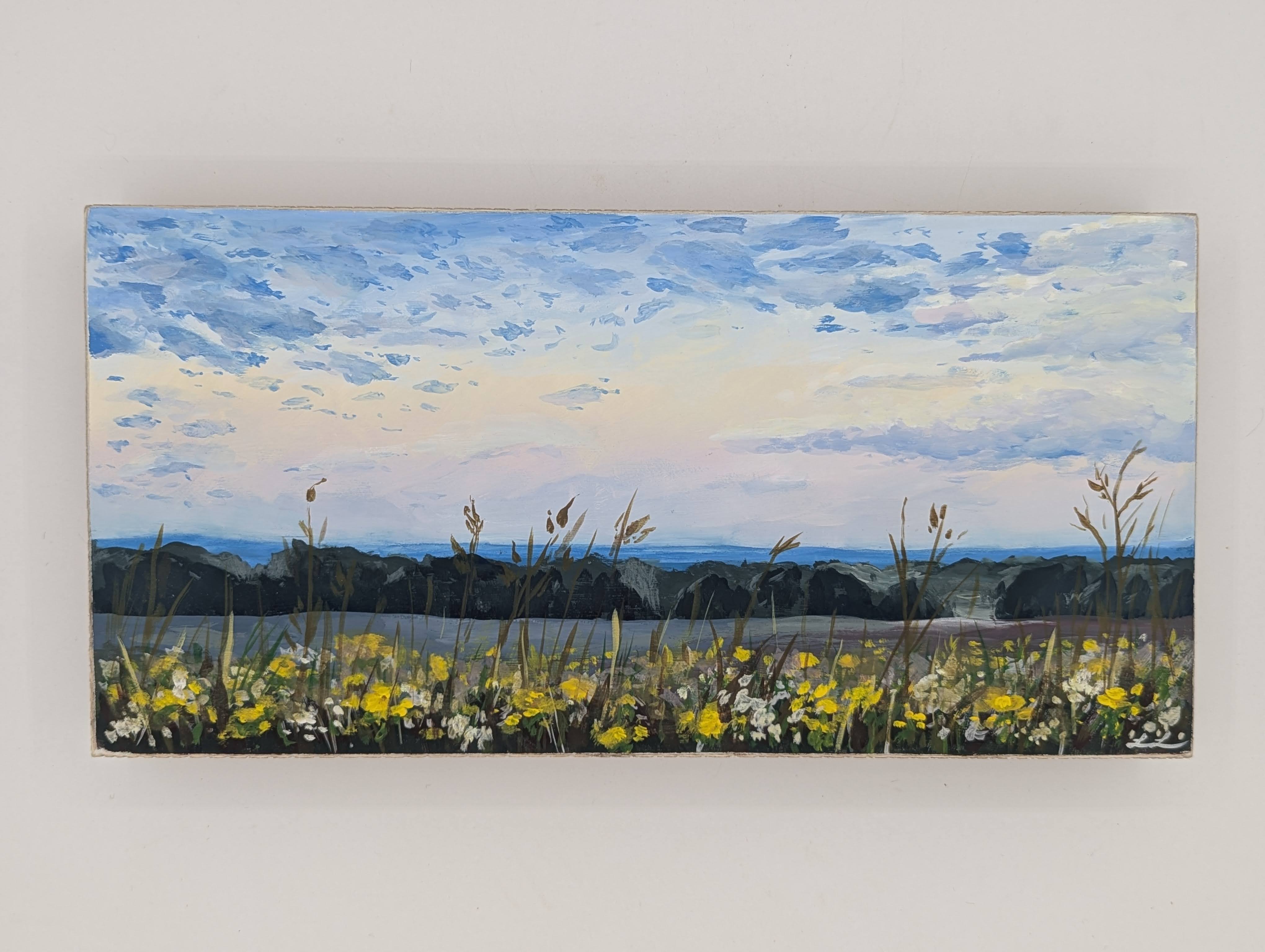 Snowball Hill Missouri Prairie  Preserve