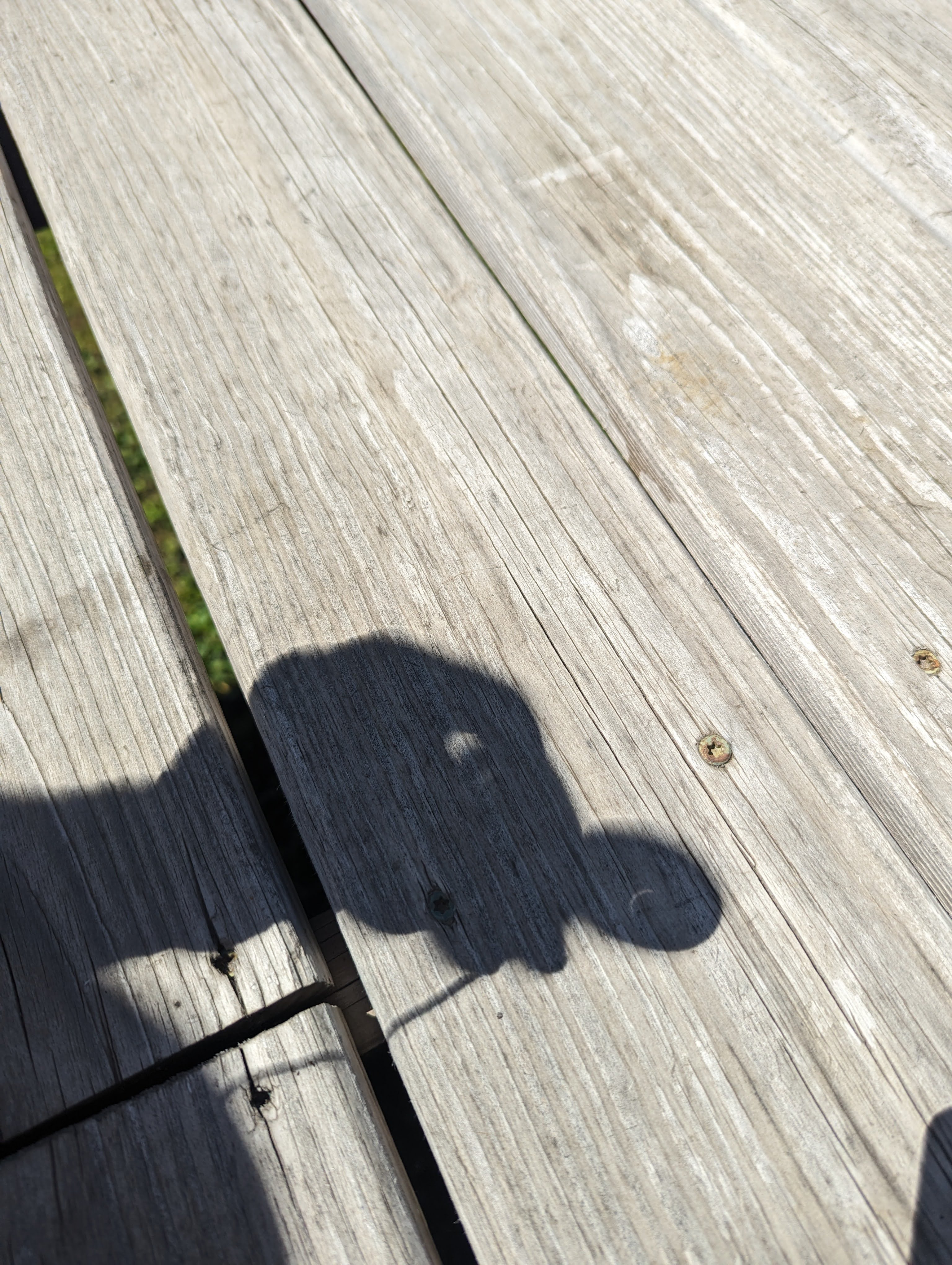 Commemorative Eclipse Necklace, 2024