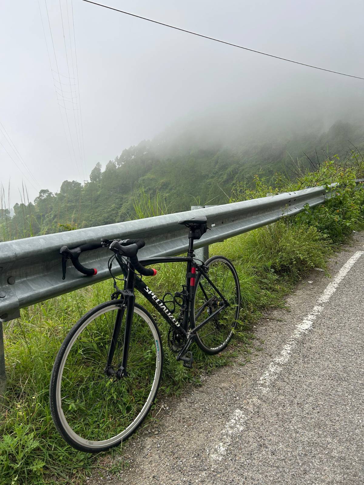 POLYGON S2 (2023)	size(medium)