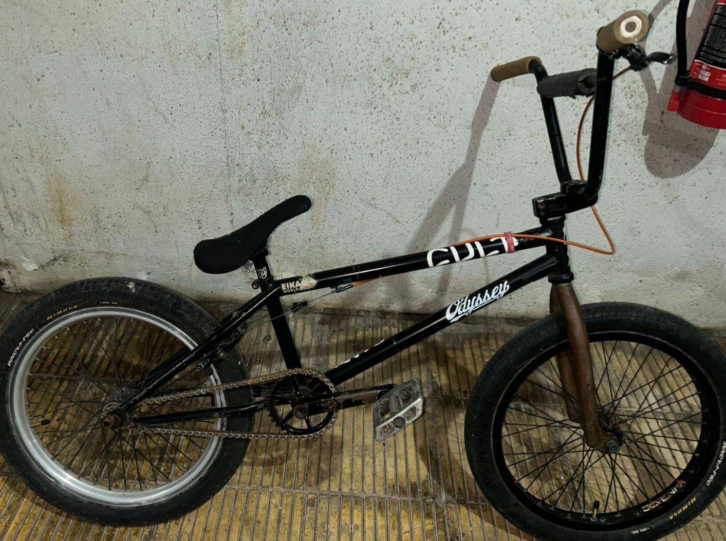 Cult Trf 21