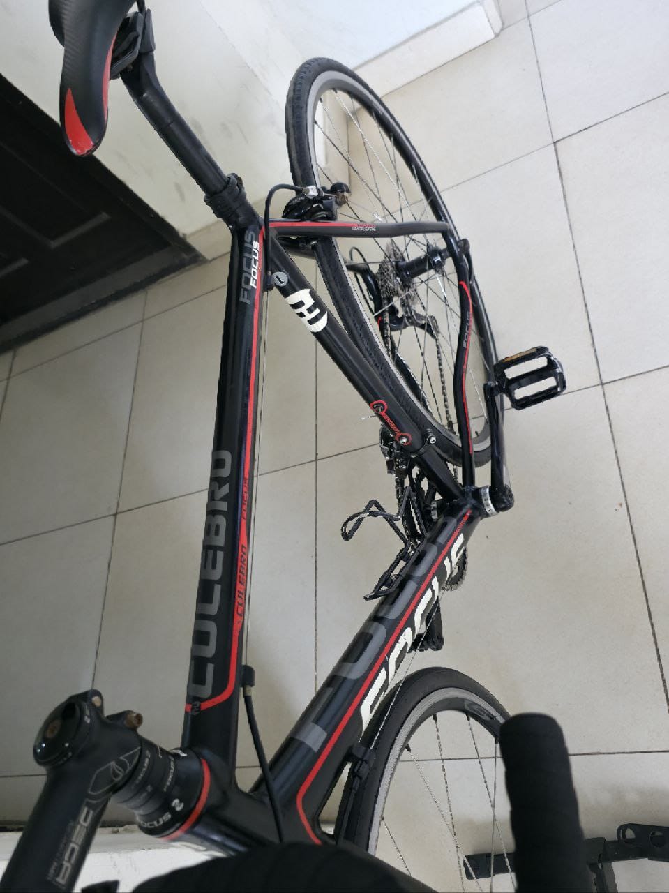 Focus Culebro Road Bike (SIZE-L)