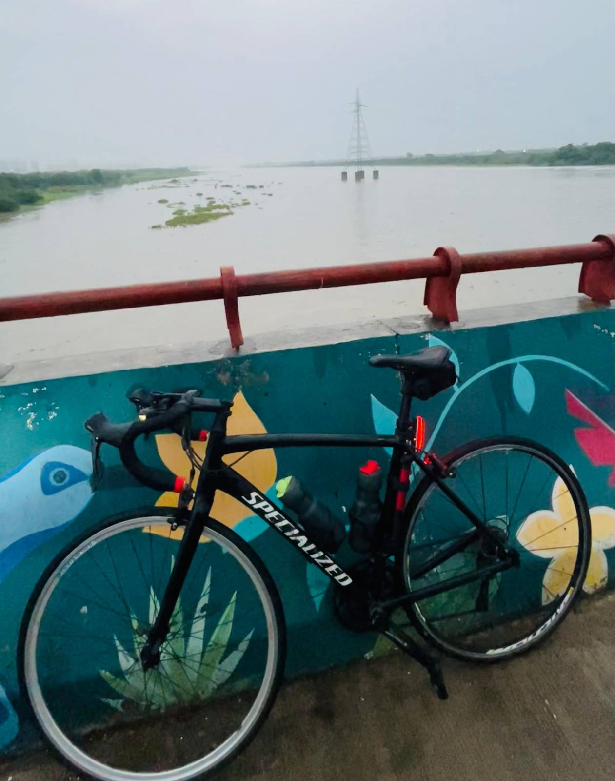 POLYGON S2 (2023) size(medium)