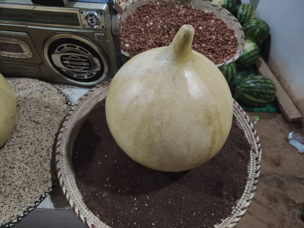 Calabash Gourd