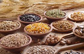 Assorted Organic Seeds