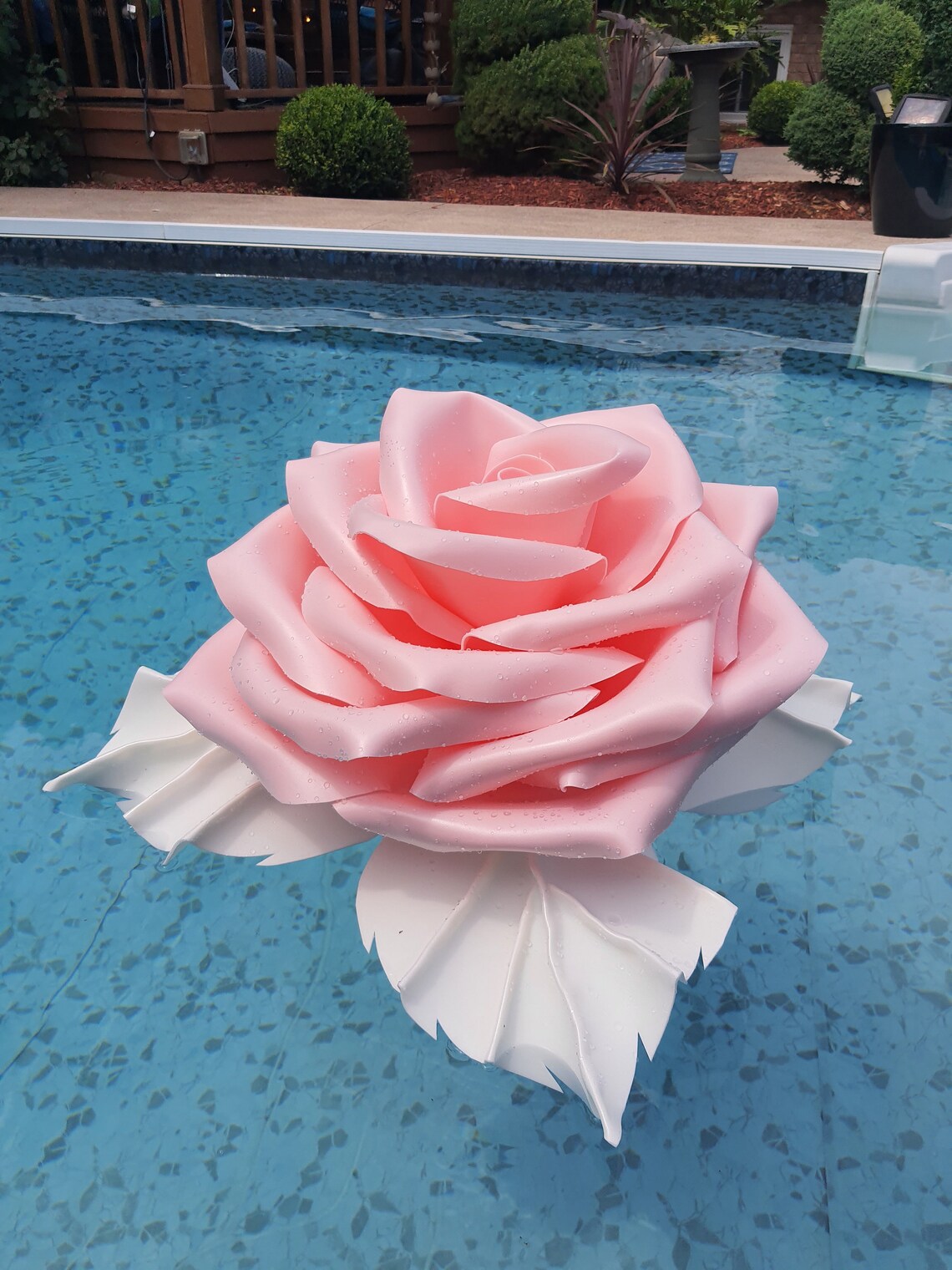 Floating Giant-Roses.