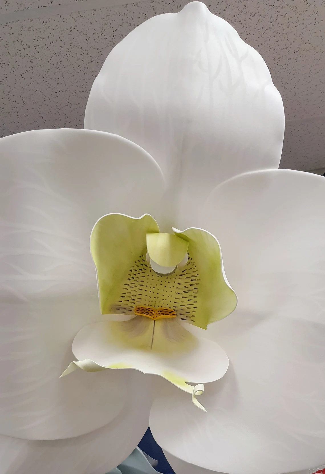 Handmade 3D Orchid flower Light up in frame 