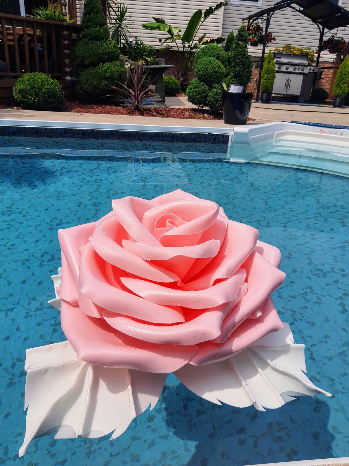 Floating Giant-Roses. 