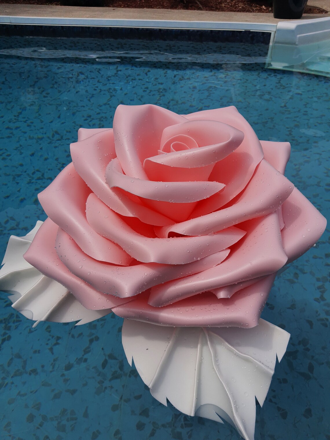 Floating Giant-Roses. 