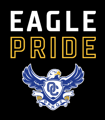 Eagle Pride 1/4 Zip  Pullover Sweatshirt