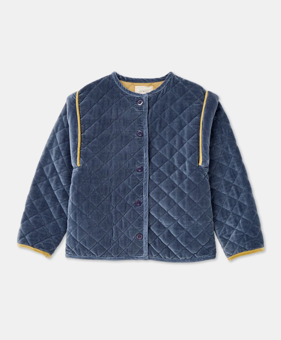 Chaqueta acolchada de terciopelo azul 5 años