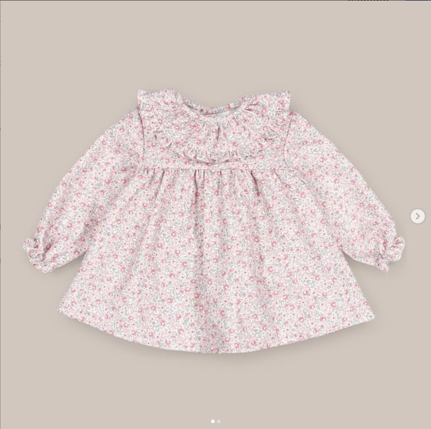 Jesusin Fresa rosa 18m