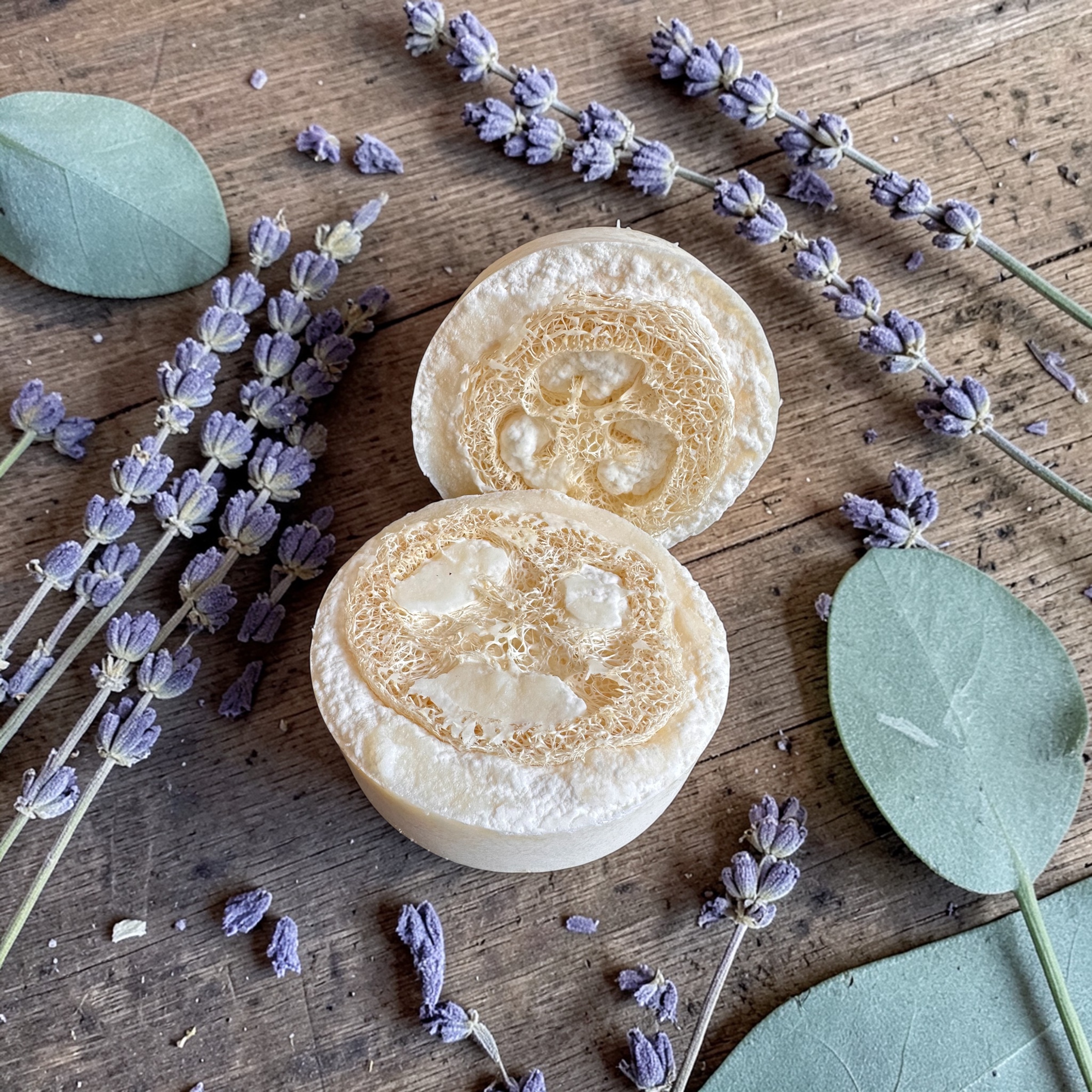 Lavender Loofah Soap