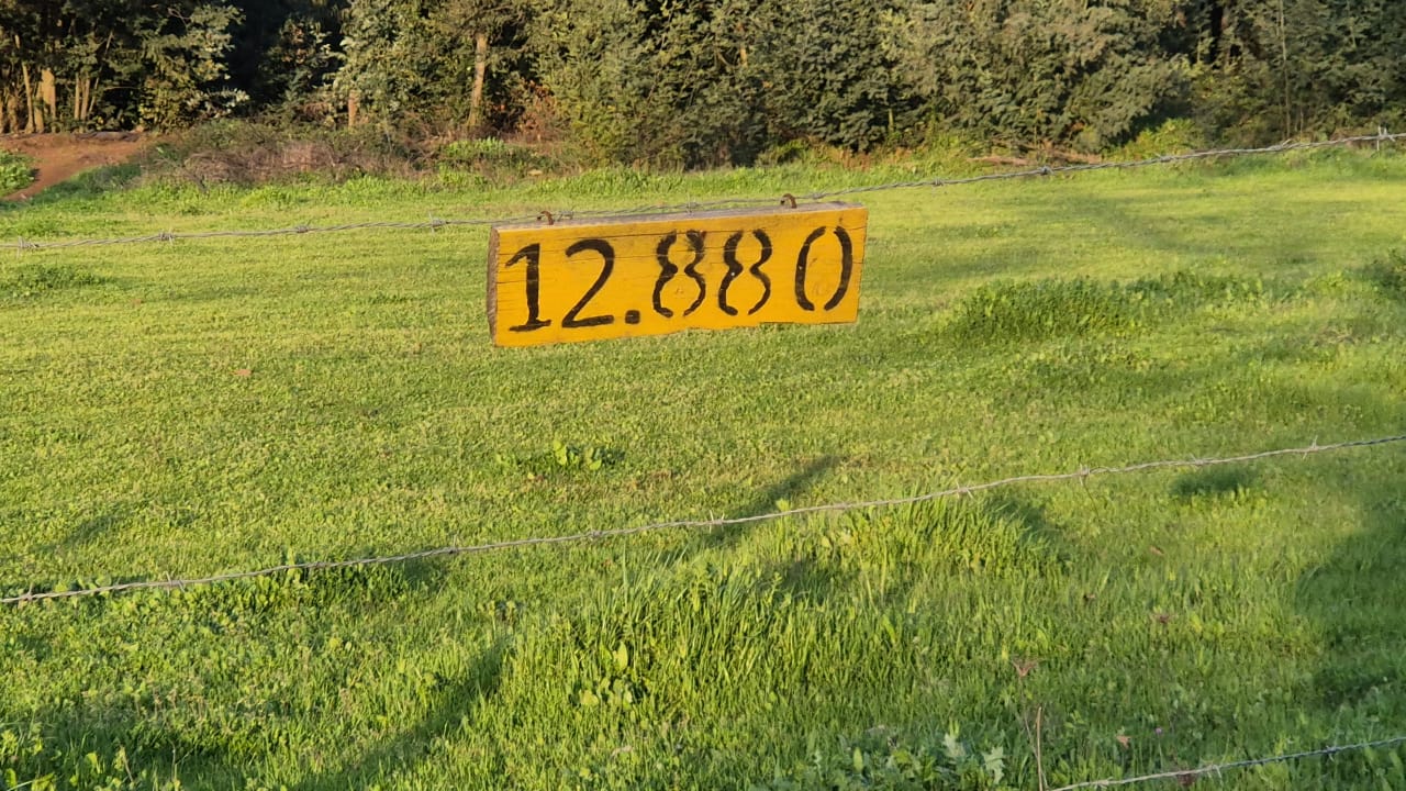 TERRENO FORESTAL / AGRÍCOLA